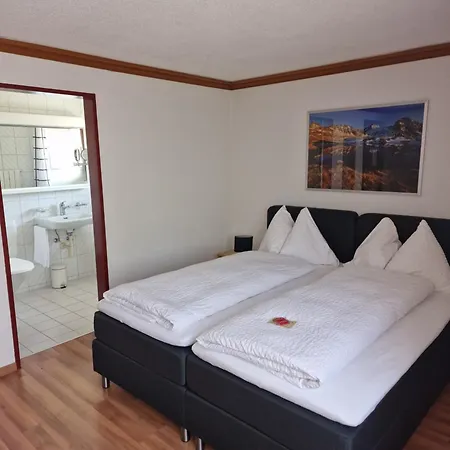 Hotel Alpha Thun