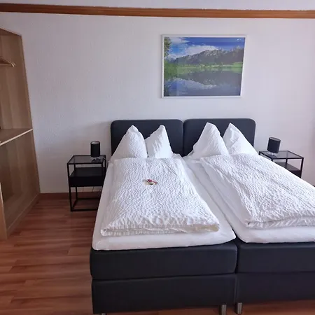 Alpha Hotel Thun