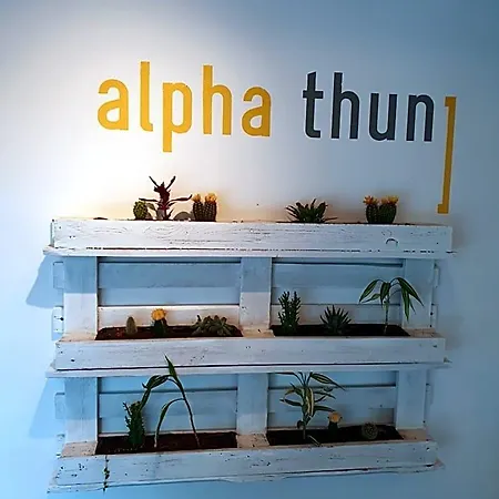 Hotel Alpha