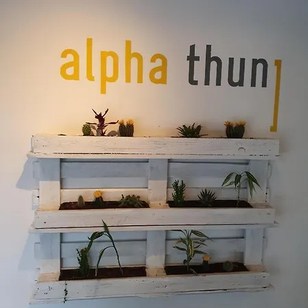 Szálloda Alpha