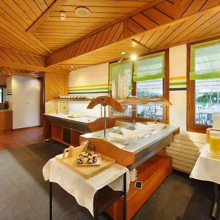 Alpha Hotel Thun